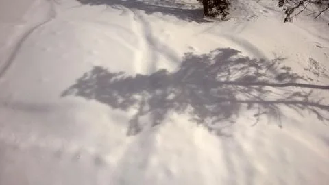 The shadow of a tree in the snow Stock Photos