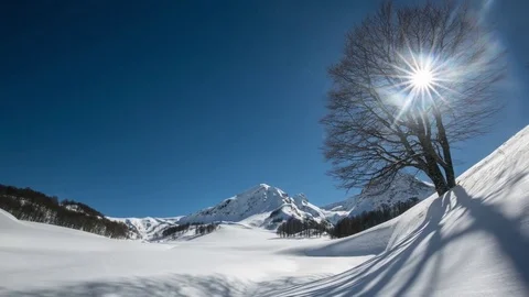 The shadow of a tree in the snow. Winter landscape pan down Stock Footage 83688722