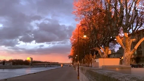 Shadow on tree in the sunset Stock Footage 171026503