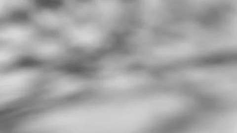 Shadow of a tree sways on a white background 스톡 사진