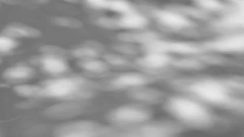 Shadow of a tree sways on a white background Stock Photos