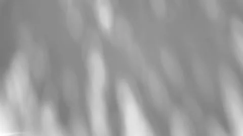 Shadow of a tree sways on a white background 스톡 사진