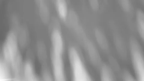 The shadow of a tree sways on a white background 스톡 사진