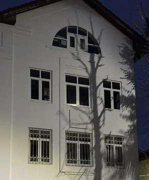 Shadow of tree on white building wall under evening light, creating abstrac.. Stock Photos