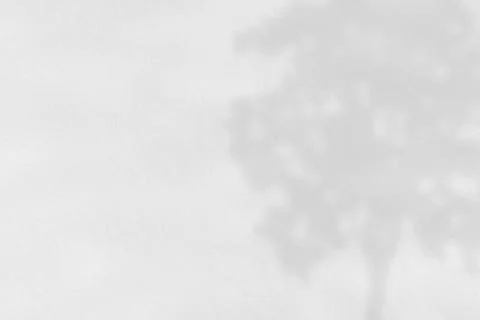 Shadow of tree on white paper, abstract background Stock Illustration