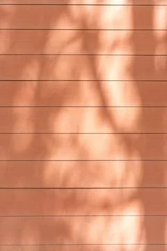 Shadow of tree on wooden background Stock-Fotos