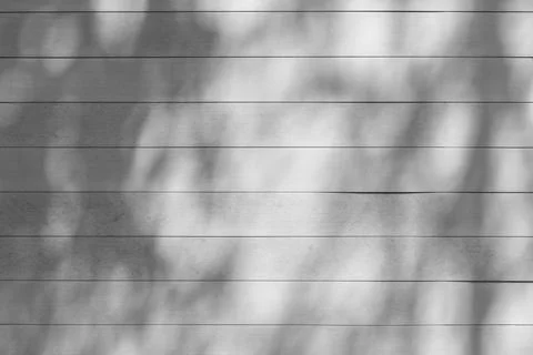 Shadow of tree on wooden background Stock Photos