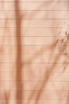 Shadow of tree on wooden background Stock Photos