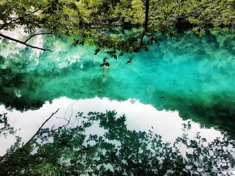 Shadow of a  trees, clouds and leafs reflected on the water Stock Photos