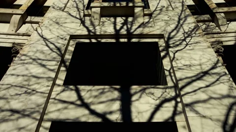 Shadow of trees moving along a facade Stock Footage 168759730