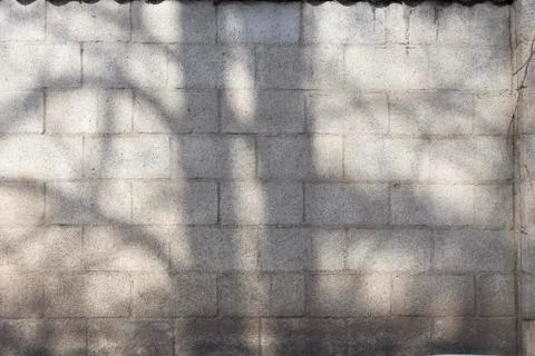 The shadow of the trees 스톡 사진