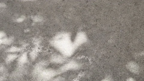 The shadow from the trees in the shape of a heart on a concrete wall. Stock Footage 196316395