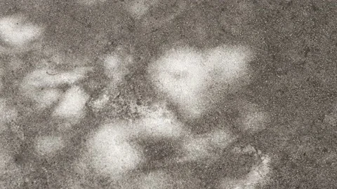 The shadow from the trees in the shape of a heart on a concrete wall. Stock Footage 196316639