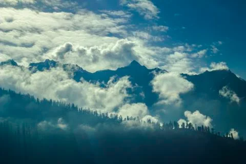 Shadow of trees in the silhouetted mountains in the clouds Stock Photos