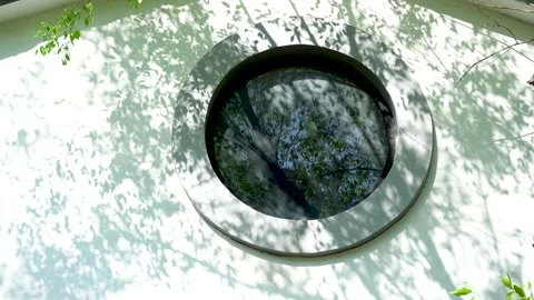 The shadow of the trees on the wall Stock Footage 158410376