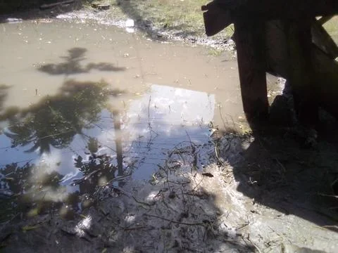 Shadow of Trees on water Stock Photos