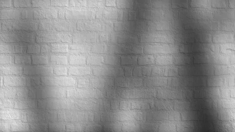 Shadow of trees on a white brick wall, loop stock video Stock Footage 165101315