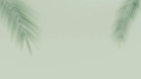 Shadow of tropical leaves background. Shadows from palm leaves on a white wall Stock Illustration