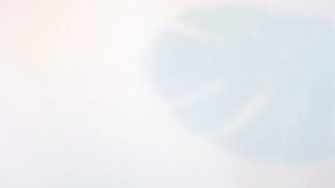 Shadow from tropical palm leaves on white background, summer concept. Stock Footage 200638296