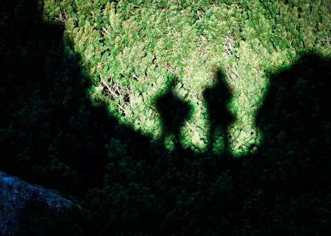 Shadow of two figures in pine Stock Photos