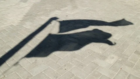 Shadow of two flags flying in strong wind on paving stones 動画素材 100662813