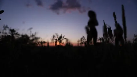 Shadow of two girls running at sunset Stock Footage 135729971