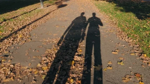The shadow of two men walking on a sidewalk covered with autumn leaves Video stock 142690250
