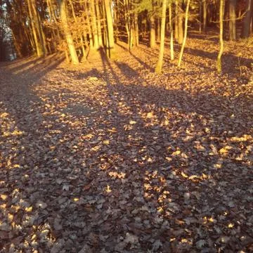 SHADOW  very long Stock Photos