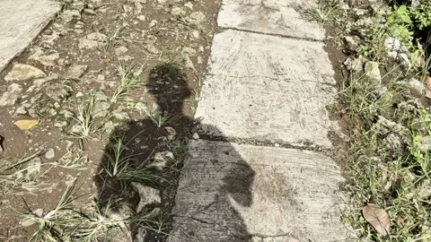 Shadow walk on concrete pathway with two lanes Stock Footage 305015795