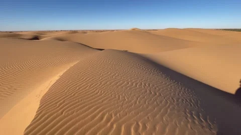 Shadow walking in the dunes 스톡 동영상 197483569