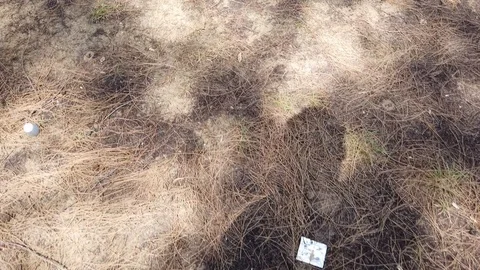 Shadow walking Stock Footage 101161802