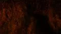 Shadow walking by hay very fast at night, orange light from a street lamp HD Footage