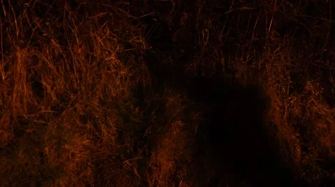 Shadow walking by hay very fast at night, orange light from a street lamp Stock Footage 47373903