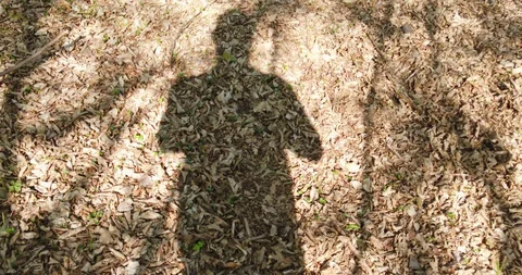 Shadow of a walking man on the leaves in the forest at spring Stock Footage 129278616