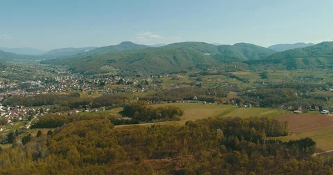 Shadow of a walking man on the leaves in the forest at spring Stock Footage 129278624