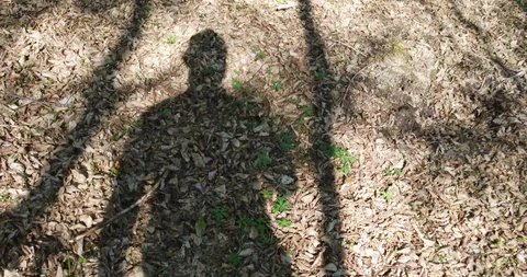 Shadow of a walking man on the leaves in the forest at spring Stock Footage 129278775