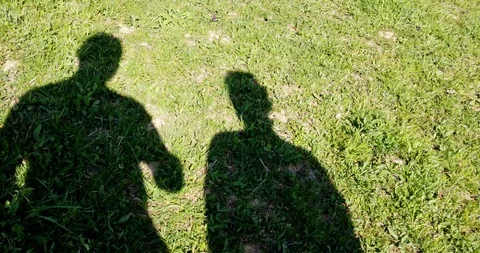 Shadow of a walking man on the leaves in the forest at spring Stock Footage 129278803
