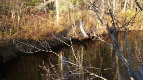 Shadow walking over bridge Stock Footage 44212208
