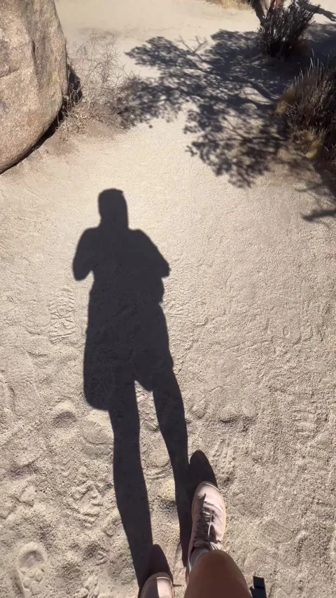 Shadow Walking POV Hidden Valley Nature Trail Joshua Tree Vertical 4K Stock Footage 337124132