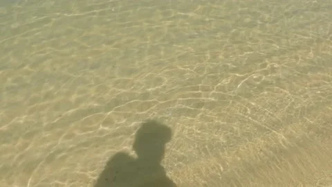 Shadow Walking Water Stock Footage 144589356