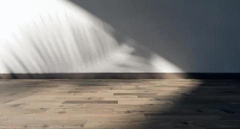 Shadow wall. 1 Illustrazione stock