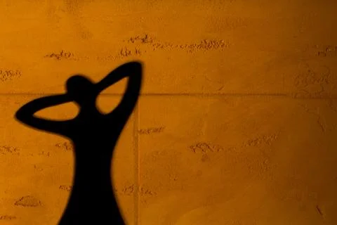 Shadow on wall 3 스톡 사진