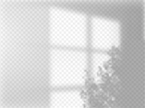 Shadow on wall, blurred soft shadow from the window and tree leaves from outside Stock Illustration