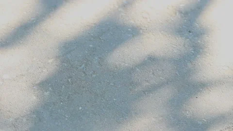Shadow on wall concrete background Stock Footage 143309152