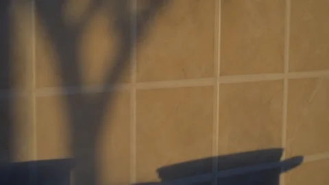 Shadow on the wall. The cook is preparing food. Video stock 90082994