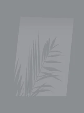 Shadow on the wall Stock Illustration