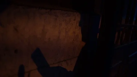 Shadow on the wall of man using smartphone at night. Slow motion. Video stock 80009779