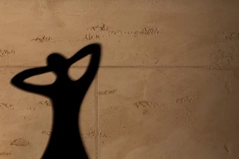 Shadow on the wall 스톡 사진