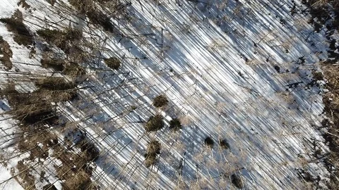 Shadow warrior Video stock 88450075