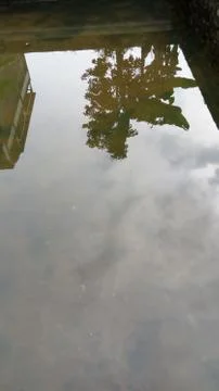 Shadow in the water Stock Photos